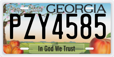 GA license plate PZY4585