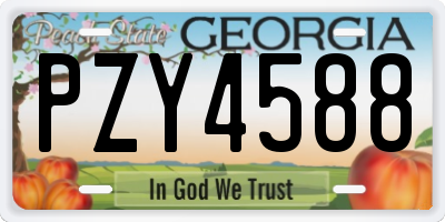 GA license plate PZY4588