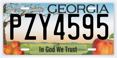 GA license plate PZY4595