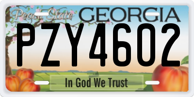 GA license plate PZY4602