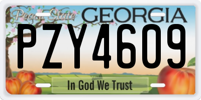GA license plate PZY4609