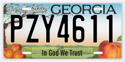 GA license plate PZY4611