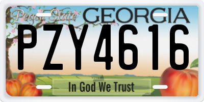 GA license plate PZY4616