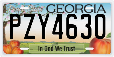 GA license plate PZY4630