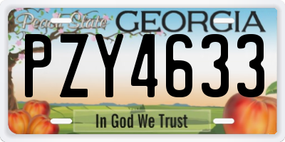 GA license plate PZY4633