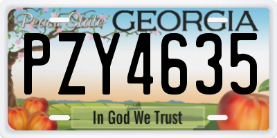 GA license plate PZY4635