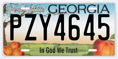 GA license plate PZY4645