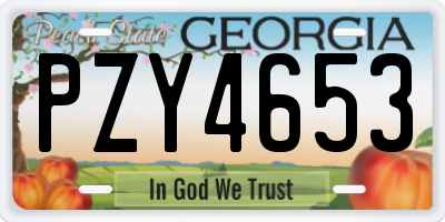 GA license plate PZY4653