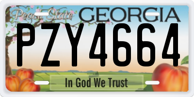 GA license plate PZY4664