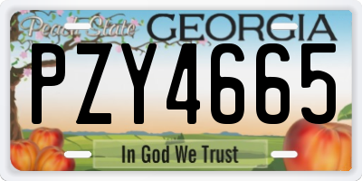 GA license plate PZY4665