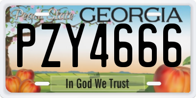 GA license plate PZY4666