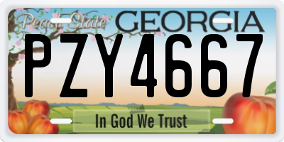 GA license plate PZY4667