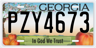 GA license plate PZY4673