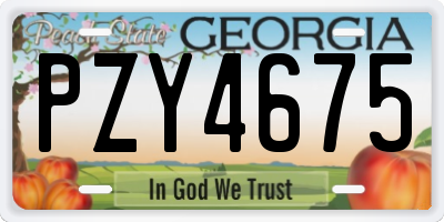 GA license plate PZY4675