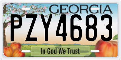 GA license plate PZY4683