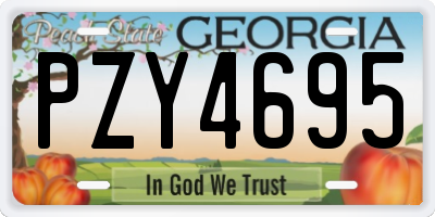 GA license plate PZY4695