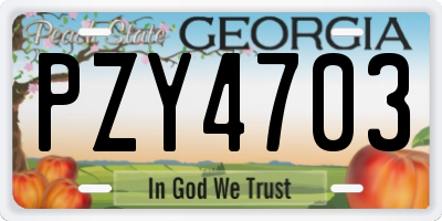 GA license plate PZY4703