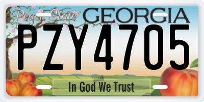 GA license plate PZY4705