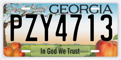 GA license plate PZY4713