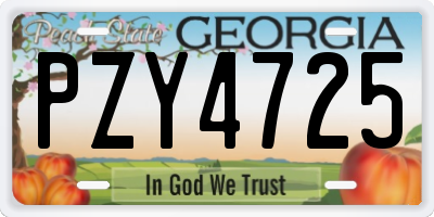 GA license plate PZY4725