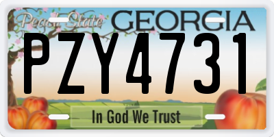 GA license plate PZY4731