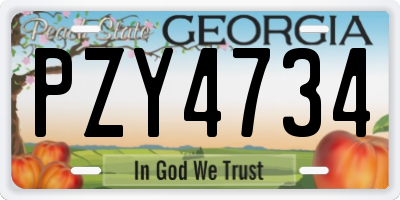 GA license plate PZY4734