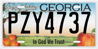GA license plate PZY4737