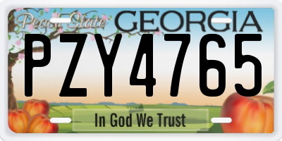 GA license plate PZY4765