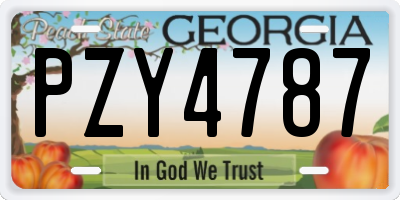 GA license plate PZY4787