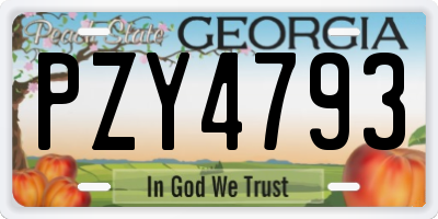 GA license plate PZY4793