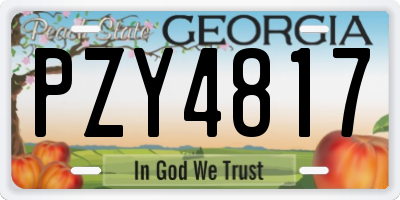 GA license plate PZY4817