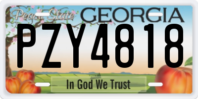 GA license plate PZY4818