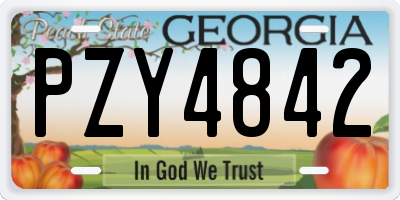GA license plate PZY4842