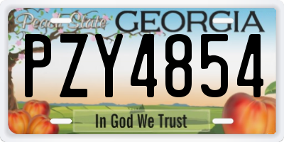 GA license plate PZY4854