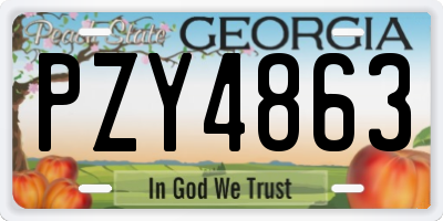 GA license plate PZY4863