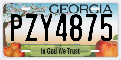 GA license plate PZY4875