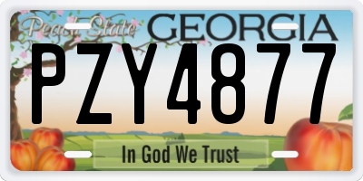 GA license plate PZY4877