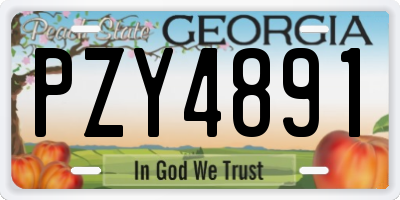 GA license plate PZY4891