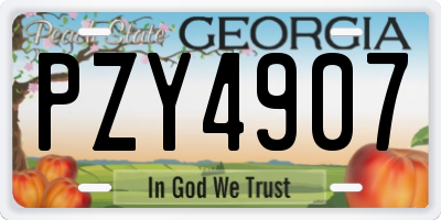 GA license plate PZY4907