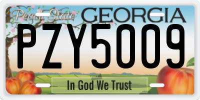 GA license plate PZY5009