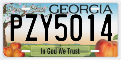 GA license plate PZY5014
