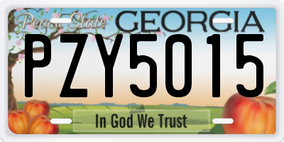 GA license plate PZY5015