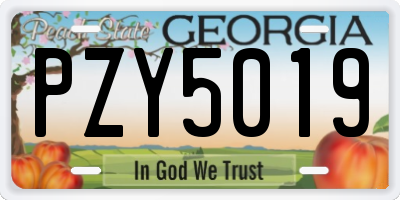 GA license plate PZY5019