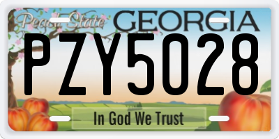 GA license plate PZY5028