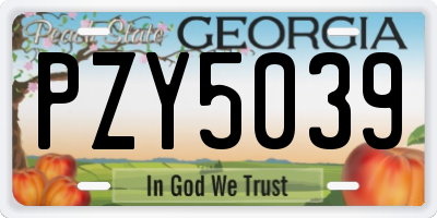 GA license plate PZY5039