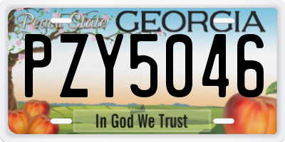 GA license plate PZY5046