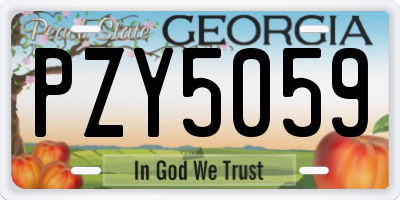 GA license plate PZY5059