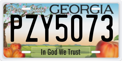 GA license plate PZY5073