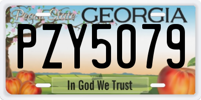 GA license plate PZY5079