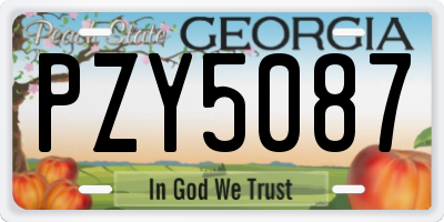 GA license plate PZY5087